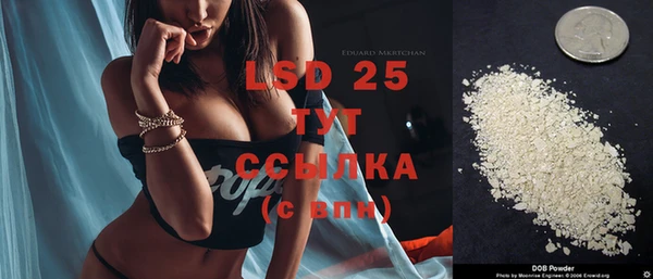 стаф Алексин