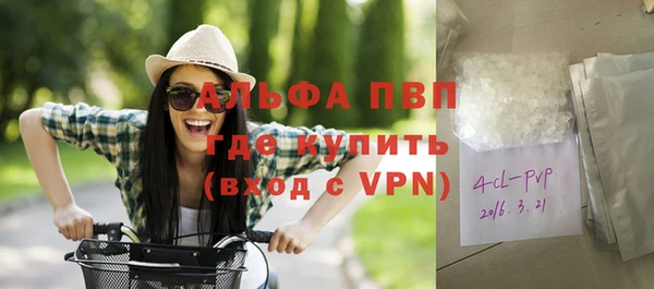 стаф Алексин