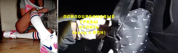 дурь Надым