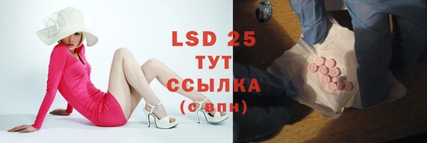 стаф Алексин