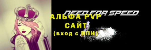 стаф Алексин