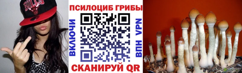 Галлюциногенные грибы Psilocybine cubensis Узловая